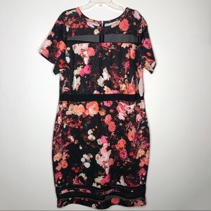 Bodycon Neon Plus Size Dress